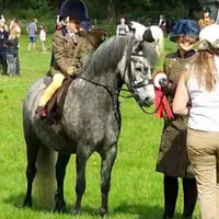 Build Your Own Bridle