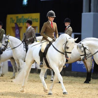 Build Your Own Bridle