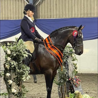 Build Your Own Bridle