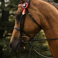 Show Pony - Riding Horse Snaffle Bridle
