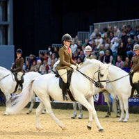 Complete Hunter Bridle