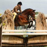 Martingales