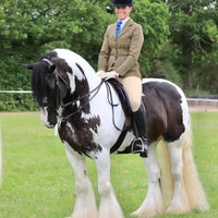 Complete Hunter Bridle