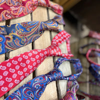 Paisley Silk Ties