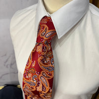 Paisley Silk Ties