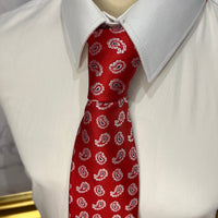 Paisley Silk Ties