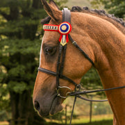Complete Show Bridle