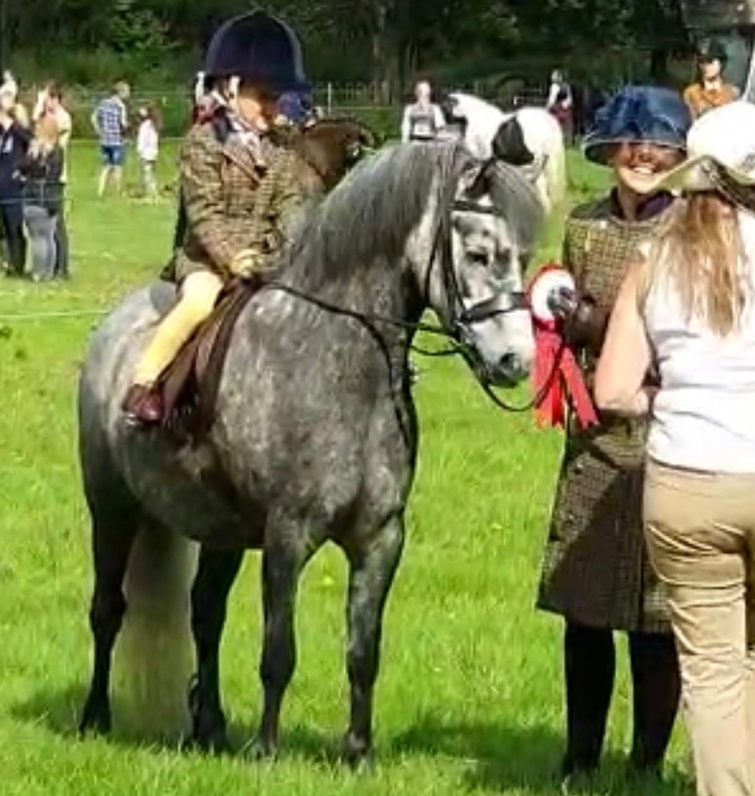 Build Your Own Bridle