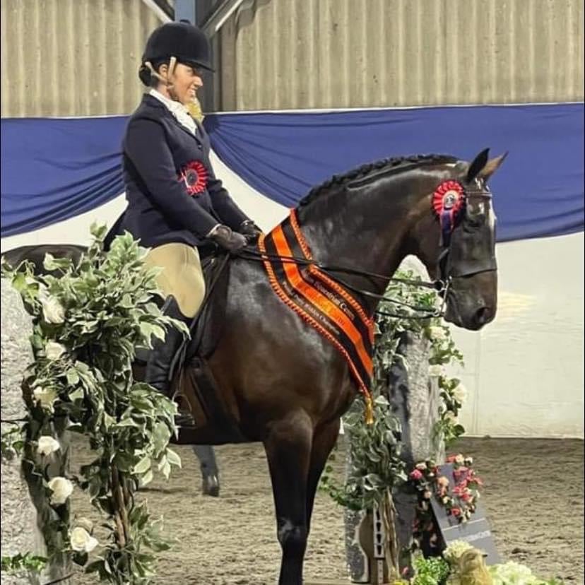 Build Your Own Bridle