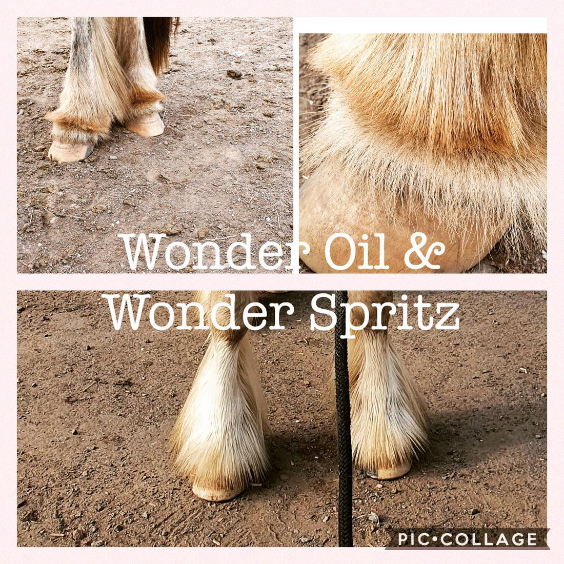 Wonder Whip